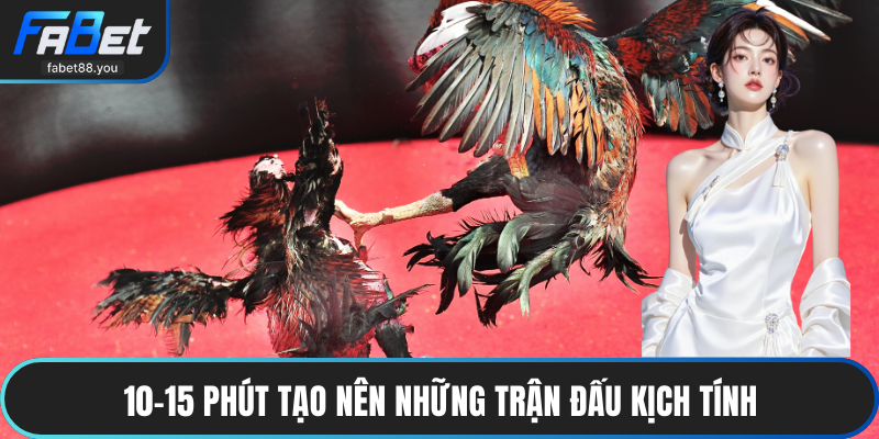 Đá Gà FABET – Sân Chơi Chọi Kê Trực Tuyến Uy Tín 2026