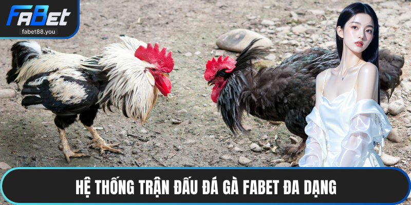 Đá Gà FABET – Sân Chơi Chọi Kê Trực Tuyến Uy Tín 2026