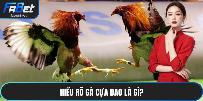 Gà Cựa Dao FABET – Sân Chơi Đá Gà Trực Tuyến Đỉnh Cao