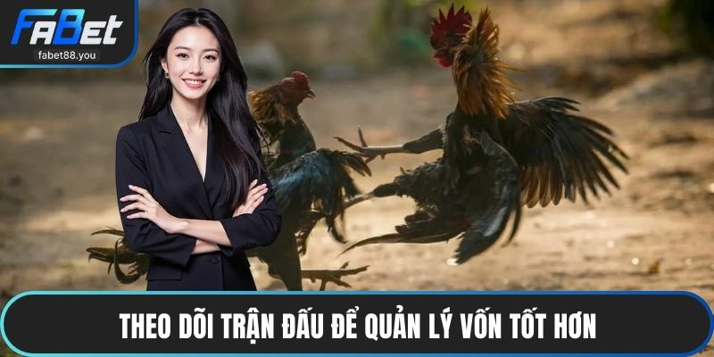 Gà Cựa Dao FABET – Sân Chơi Đá Gà Trực Tuyến Đỉnh Cao