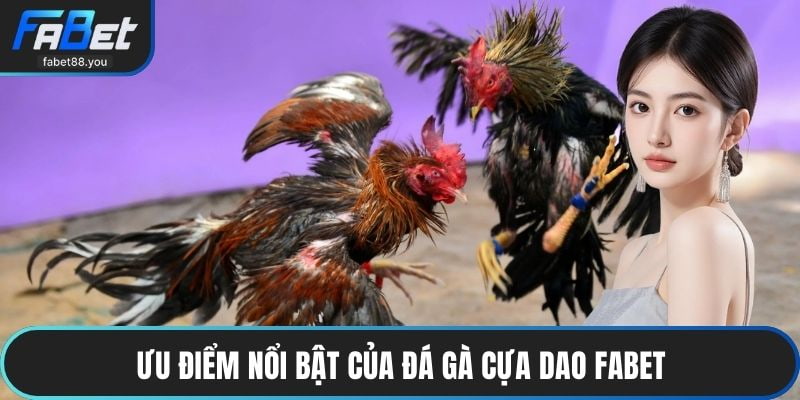 Gà Cựa Dao FABET – Sân Chơi Đá Gà Trực Tuyến Đỉnh Cao